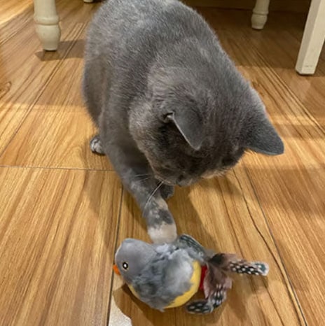 Bird Toy For Cats With Bionic Sounds Lifelike Feather Play For Indoor Hunting Fun - Image 8