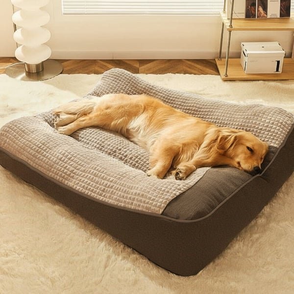 Cozynest Orthopedic Dog Bed With Scratch-Resistant Exterior And Removable Cover - Image 1