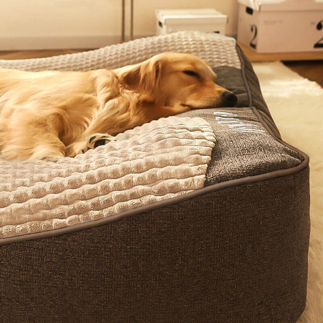 Cozynest Orthopedic Dog Bed With Scratch-Resistant Exterior And Removable Cover - Image 5