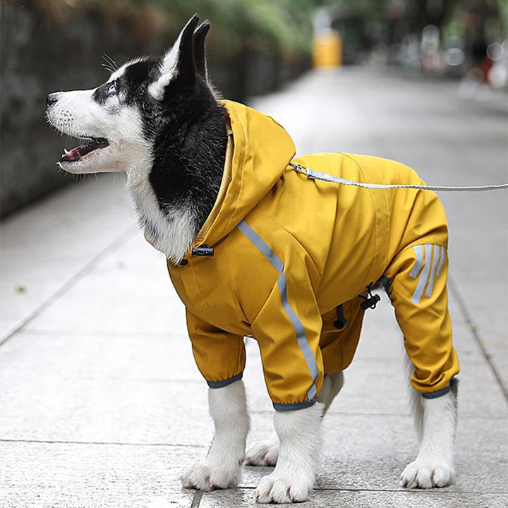 Dog Raincoat With Water-Repellent Material And Reflective Details - Image 1