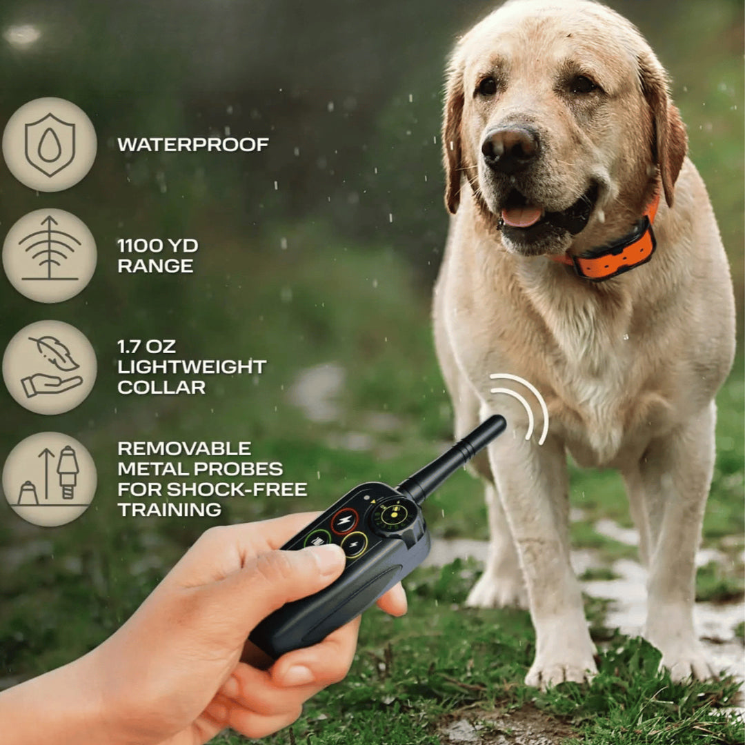 Dog Training E-Collar With Remote Long-Range 1000m Waterproof - Image 5