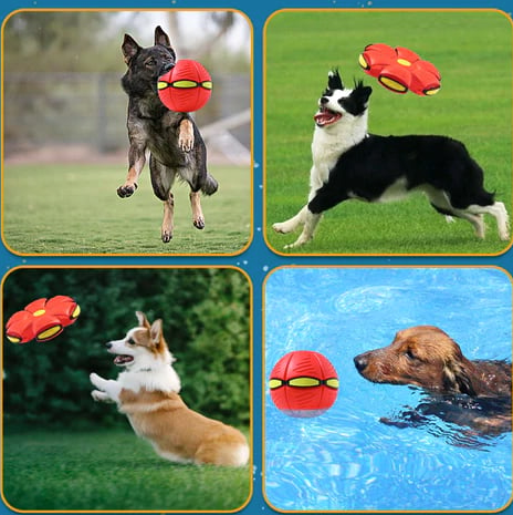 Flying Saucer Ball Dog Toy With Motion-Activated Flashing Light - Image 9