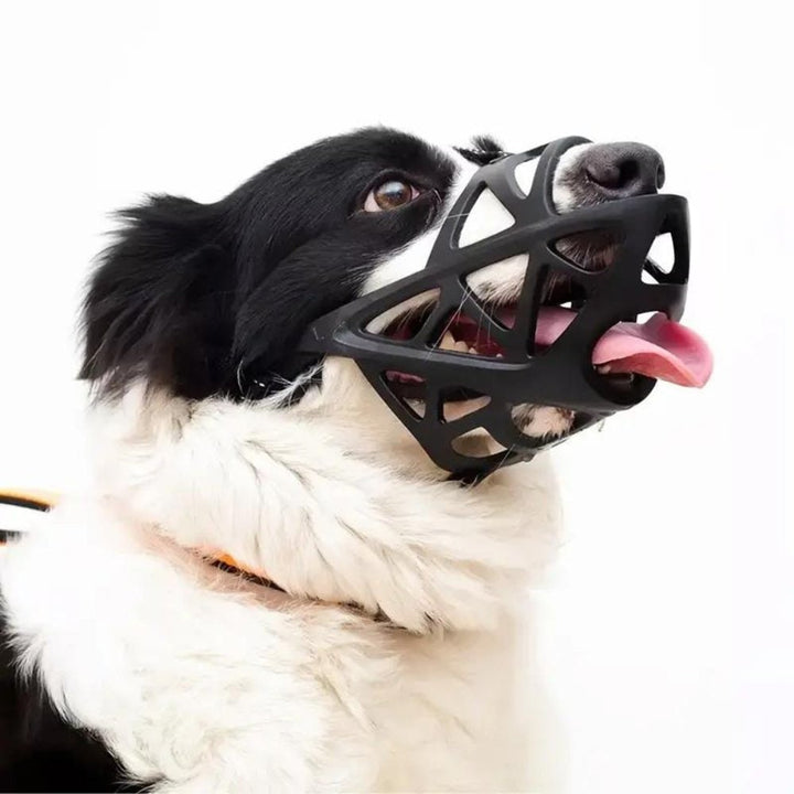 Gentle Dog Muzzle For Calm Safe Everyday Walks - Image 4