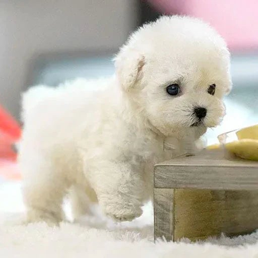 Interactive Robot Puppy Dog With Authentic Movements And Sounds Ideal Gift For And Seniors - Image 2