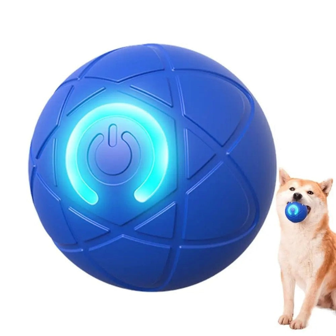 Interactive Pet Ball With LED Lights And Rechargeable Battery For Dogs And Cats - Image 3