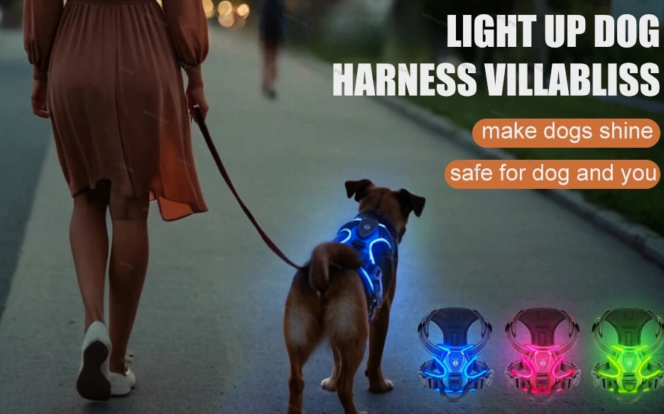 Rechargeable LED Dog Harness With Reflective Strips For Night Walking No-Pull - Image 10