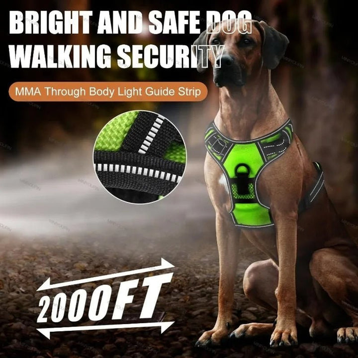 Rechargeable LED Dog Harness With Reflective Strips For Night Walking No-Pull - Image 4