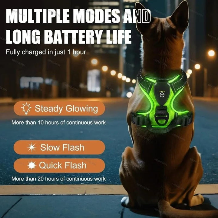 Rechargeable LED Dog Harness With Reflective Strips For Night Walking No-Pull - Image 3