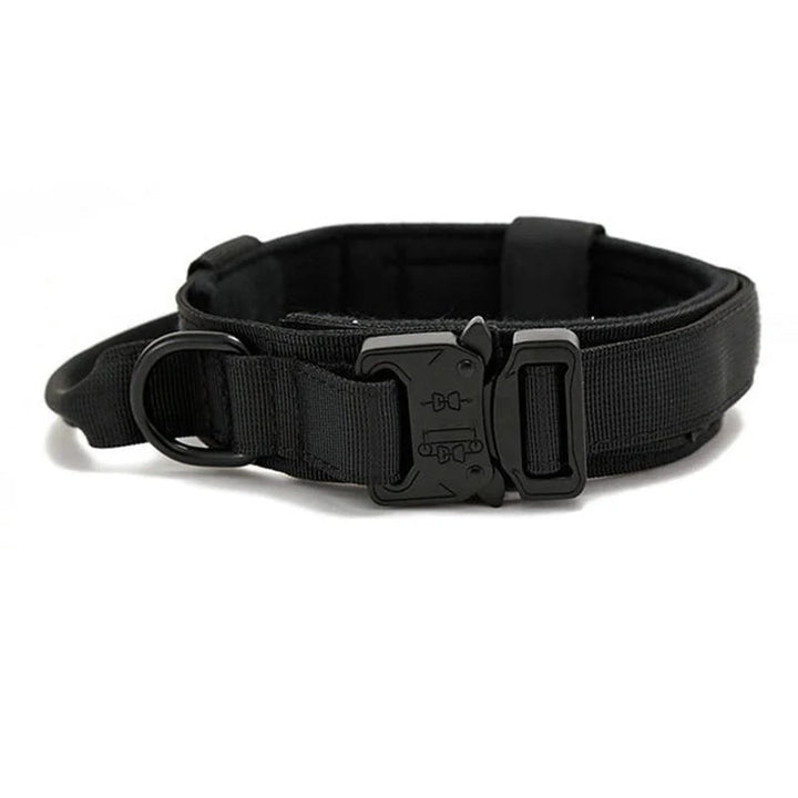 Reflective Dog Collar Set With Leash For Training And Safety - Image 1