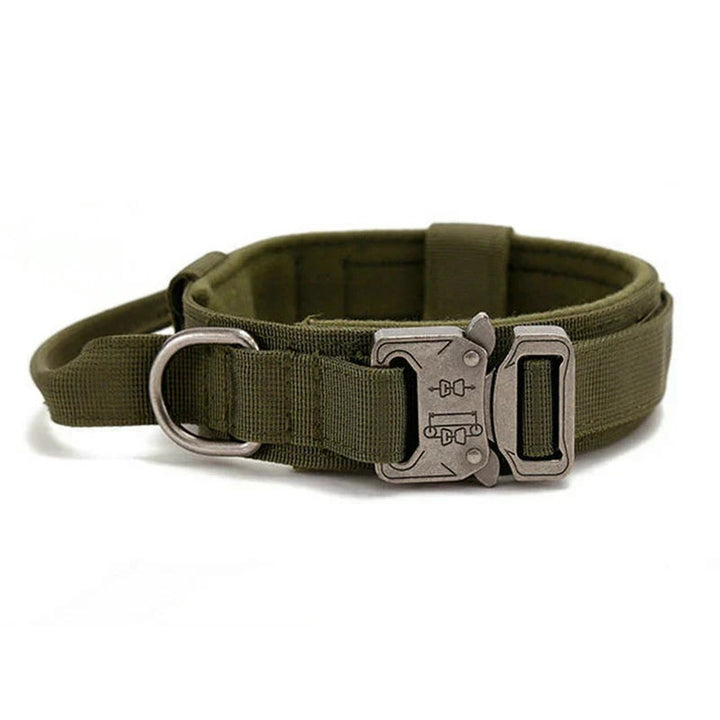 Reflective Dog Collar Set With Leash For Training And Safety - Image 7