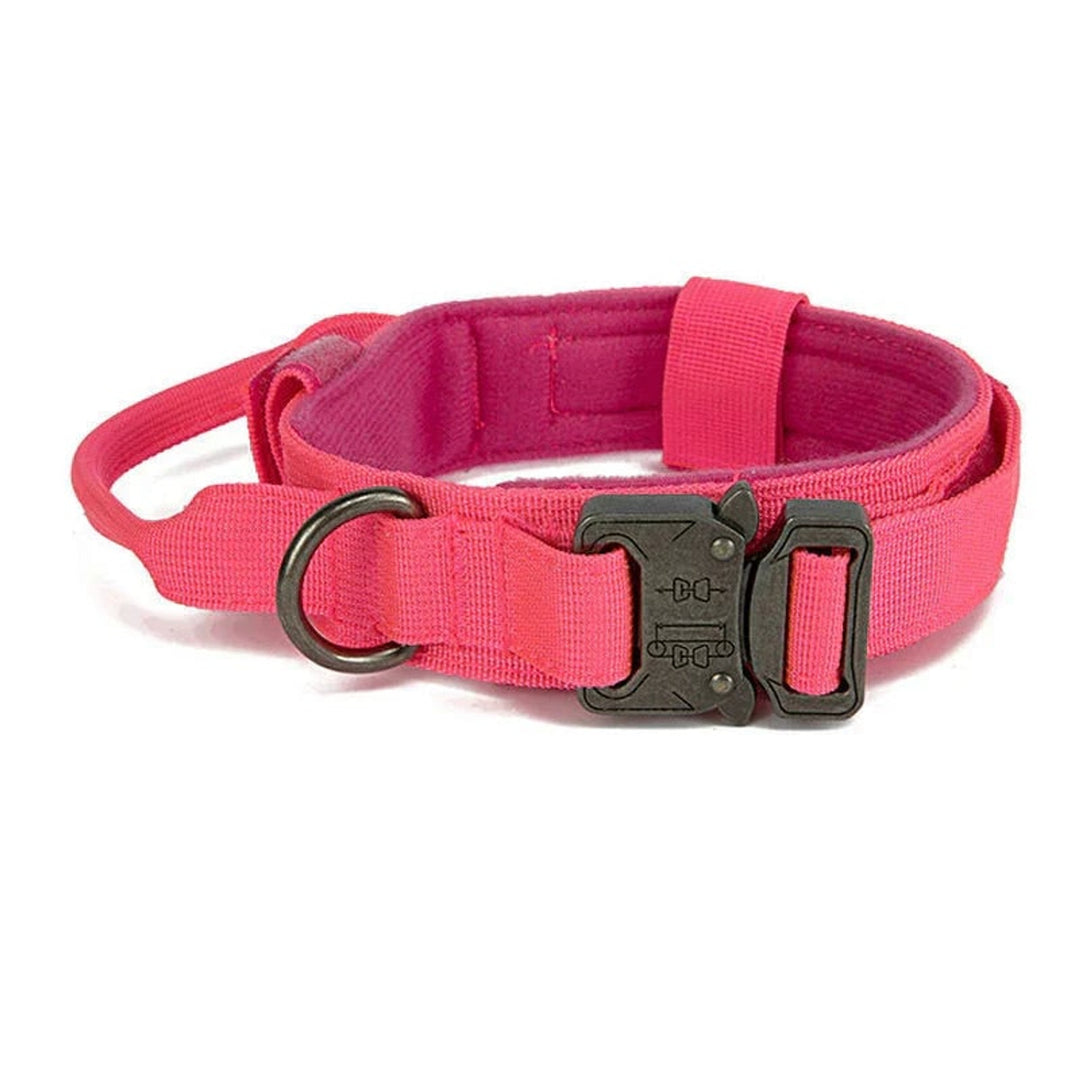 Reflective Dog Collar Set With Leash For Training And Safety - Image 3