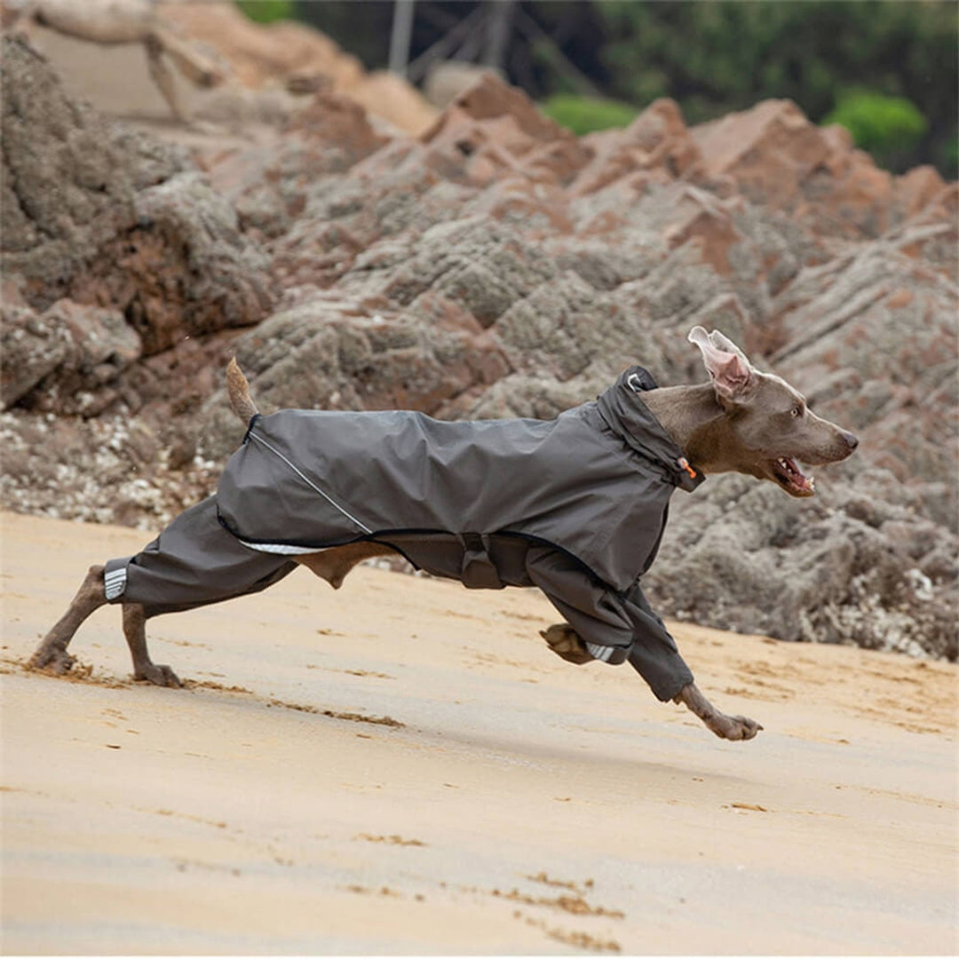 Sandsberg032519 Reflective Waterproof Raincoat For Dogs Four Legs - Image 8