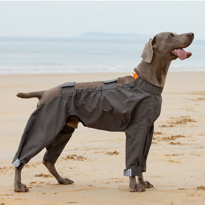 Sandsberg032519 Reflective Waterproof Raincoat For Dogs Four Legs - Image 6