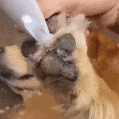Silent Pet Hair Trimmer For Dogs And Cats With LED Light - Image 9