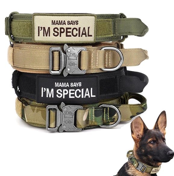 Tactical Dog Collar With Padded Interior And Integrated Control Handle For Training - Image 9