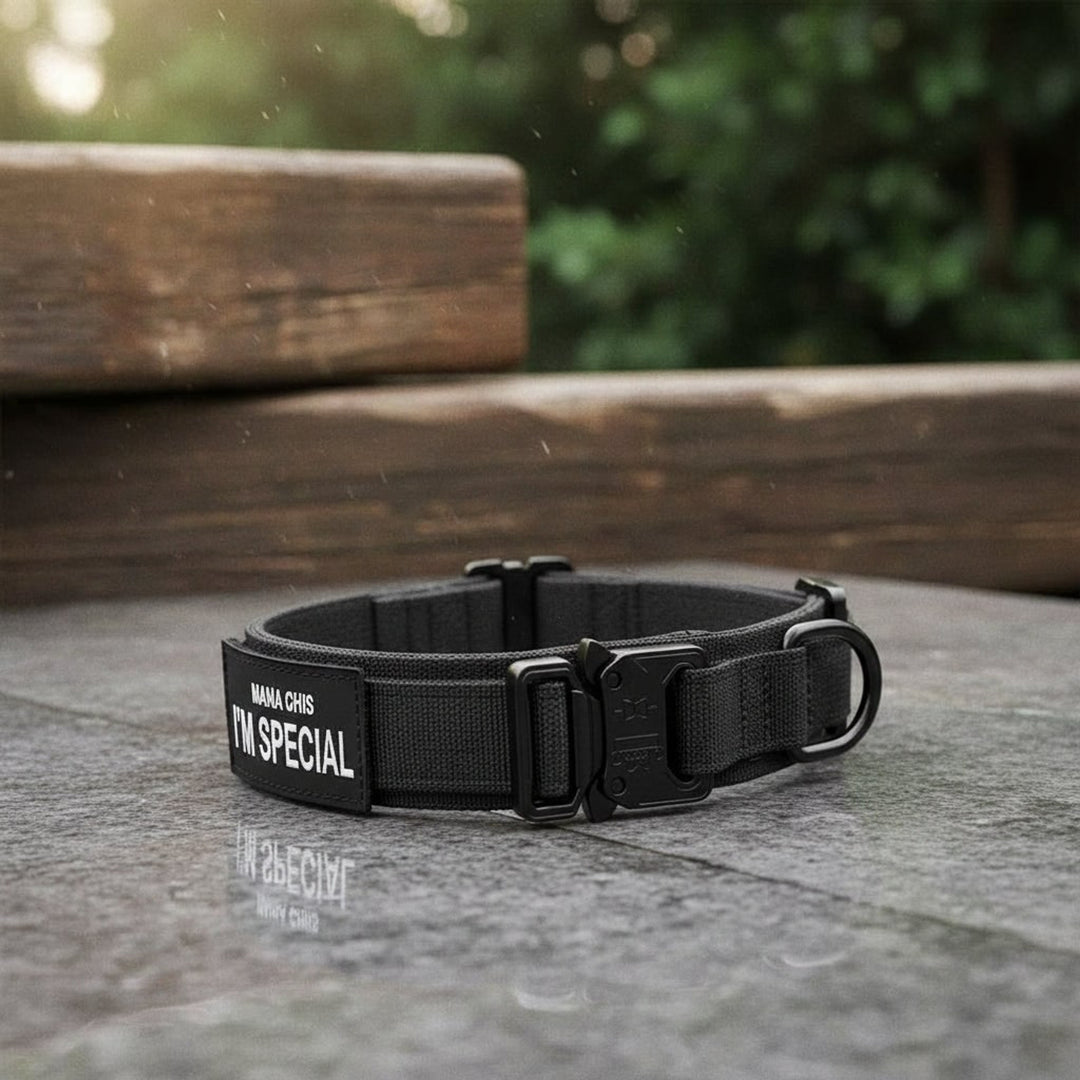 Tactical Dog Collar With Padded Interior And Integrated Control Handle For Training - Image 1