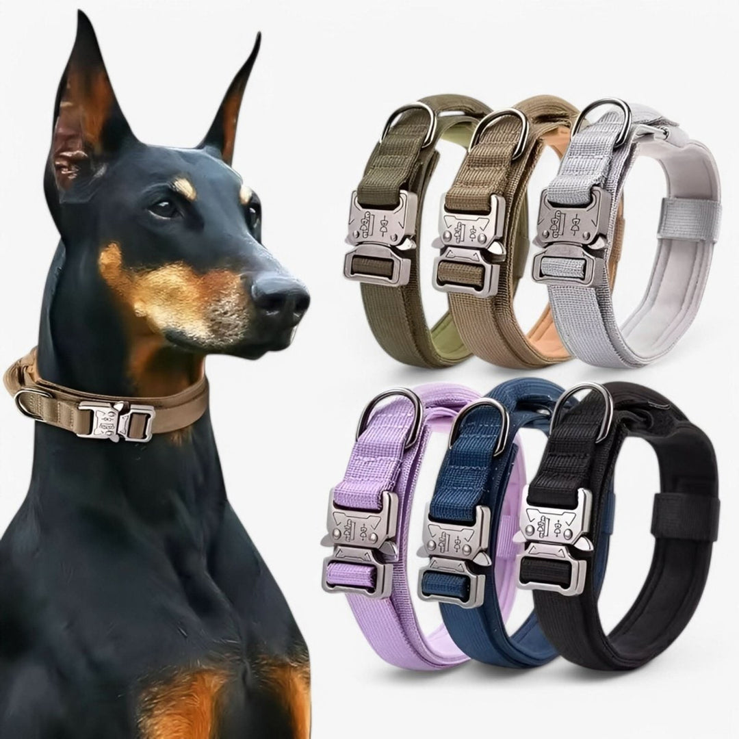 Tactical Dog Collar With Padded Interior And Integrated Control Handle For Training - Image 3