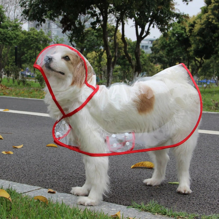 Transparent Hooded Pet Raincoat Waterproof Dog Raincoat For Rainy Walks - Image 5