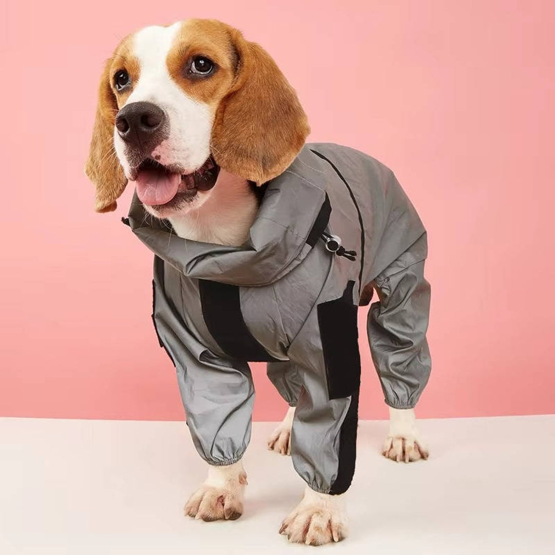 Waterproof Full Body Dog Raincoat With Reflective Strips And Storage Pocket - Image 6